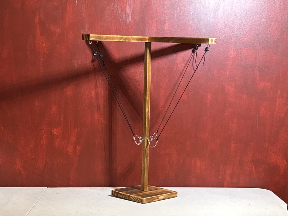 Tabletop ring toss game (often called a hook and ring game or Bimini ring game).