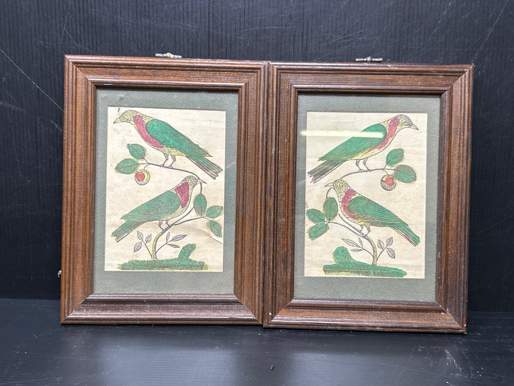 Framed Watercolor of Birds on Branches