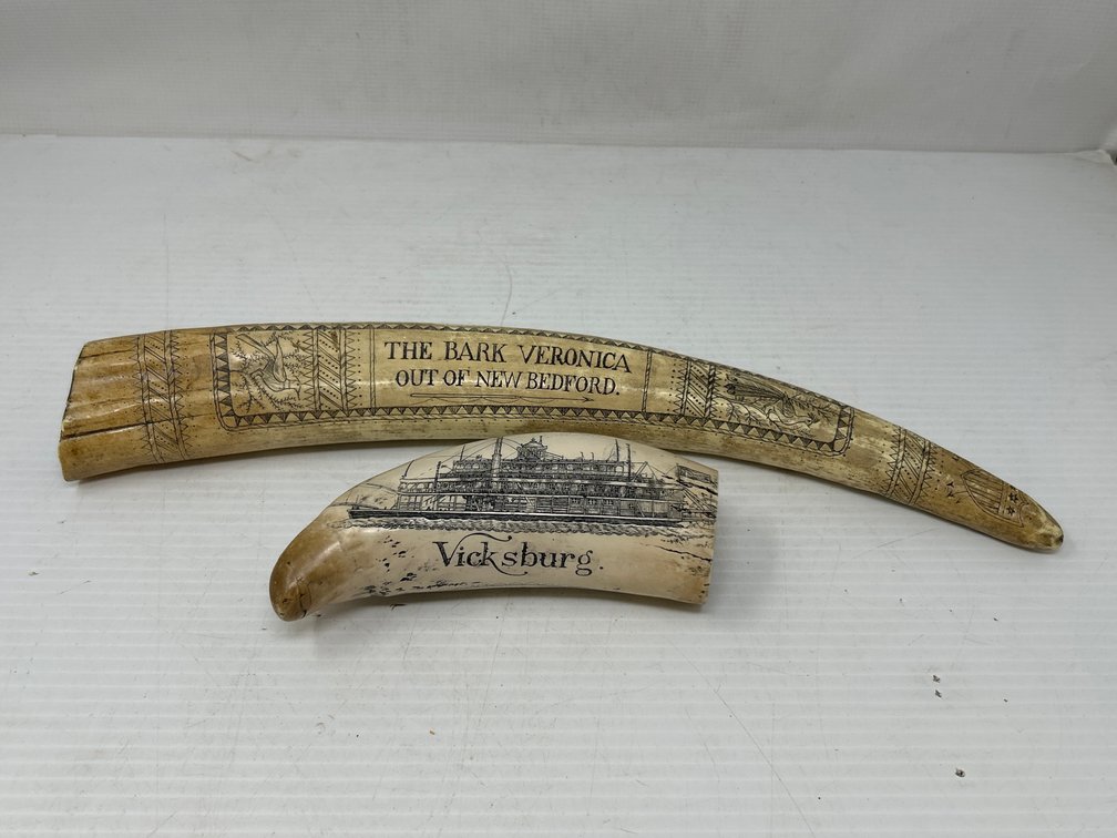 2 Horns with Scrimshaw- "The Bark Veronica Out of New Bedford" & "Vicksburg"