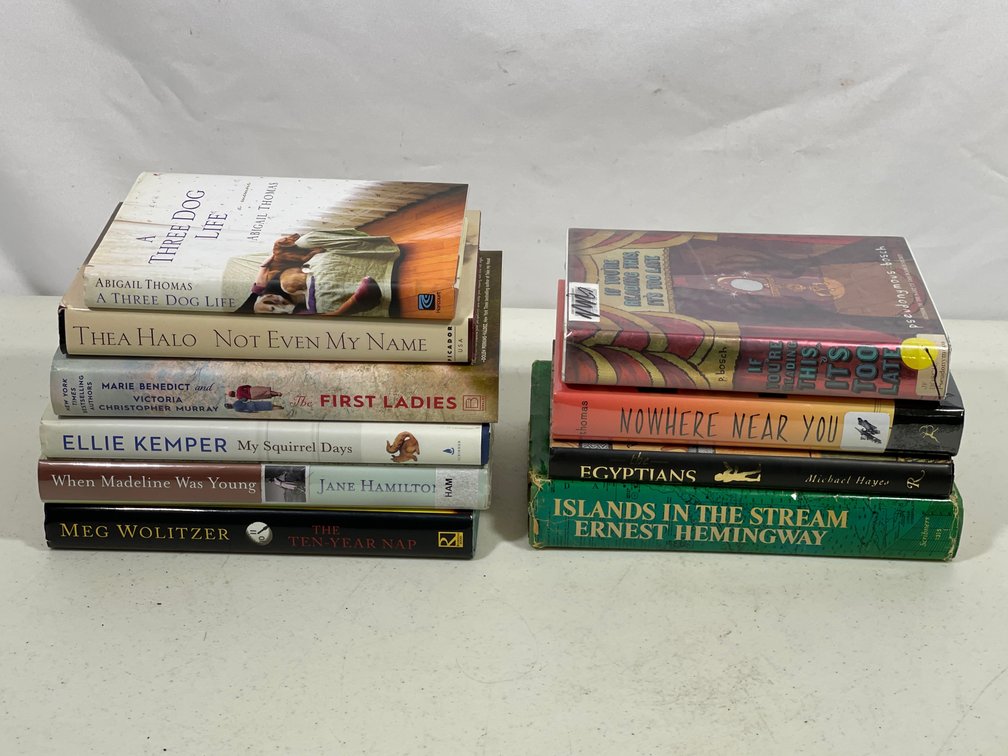 Books Lot- 10 Fiction Titles