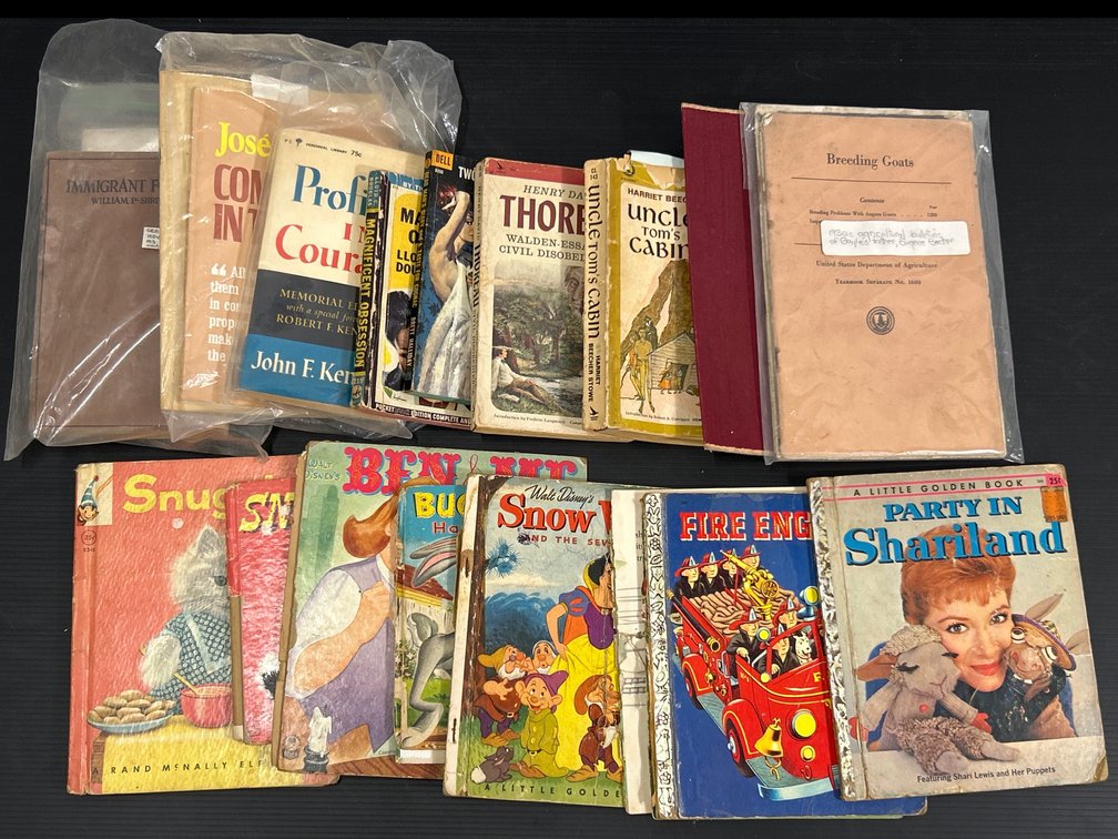 Vintage Books Lot- Children's Books, Other Fiction & Non-Fiction Titles for Adult Readers