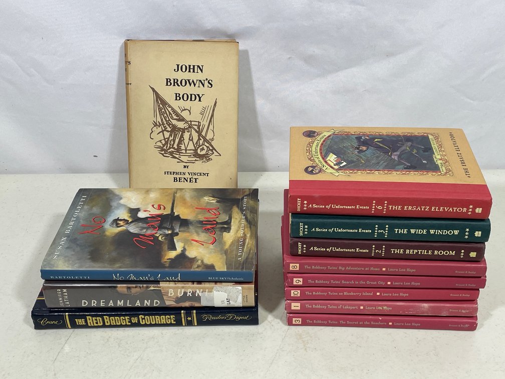 Books Lot- 12 Fiction Titles