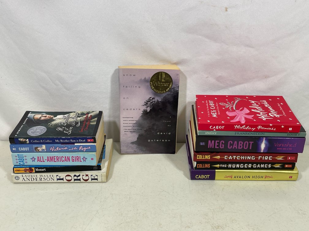 Books Lot- 12 Fiction Titles