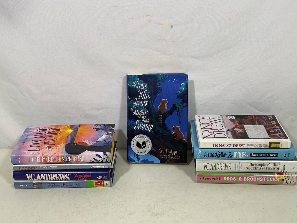 Books Lot- 9 Fiction Titles for Young Adult Readers