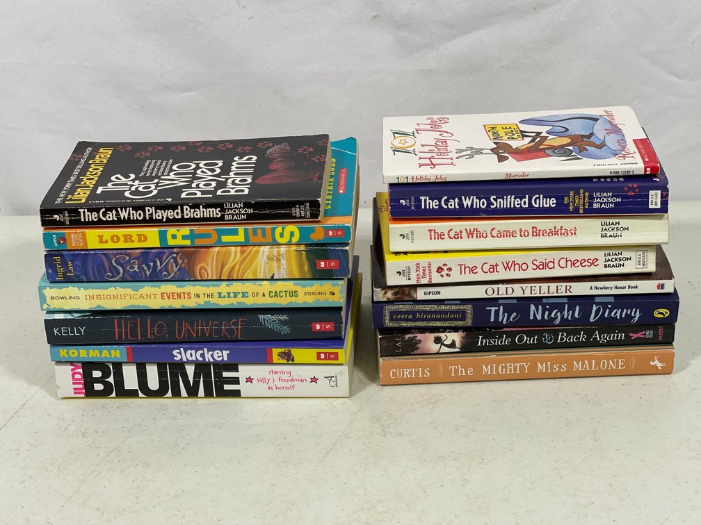 Books Lot- 15 Fiction Titles for Young Adult Readers