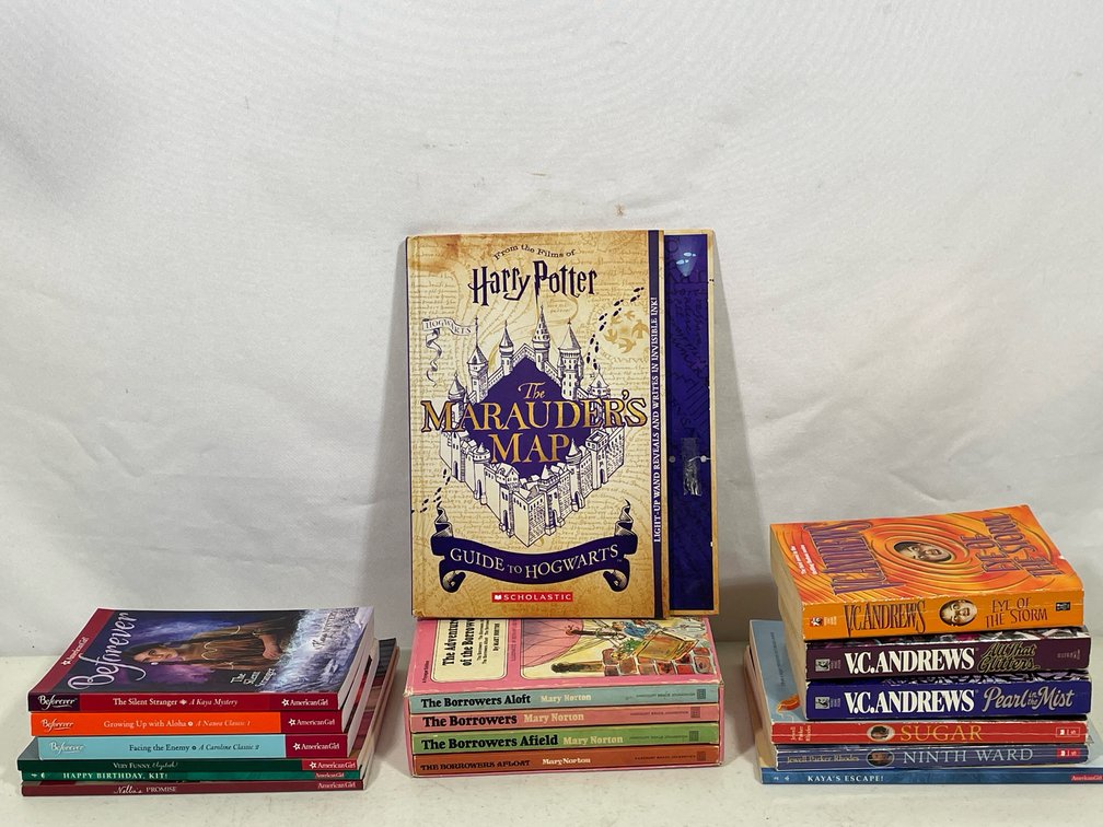 Books Lot- 13 Fiction Titles and Boxed Series "The Borrowers" for Middle Readers