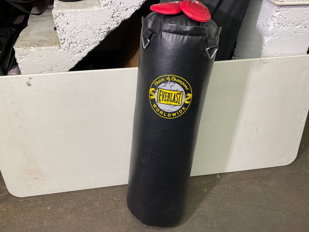 Everlast Punching Bag with Red Century Gloves