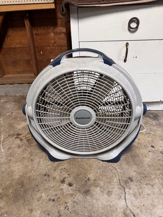 Fan
