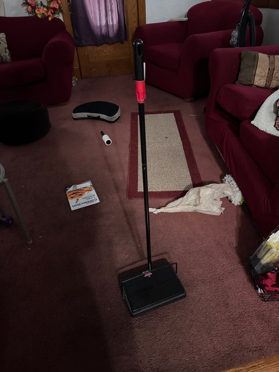 Bissell sweeper