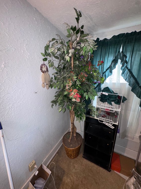 Fake plant