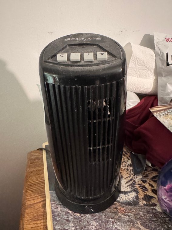 Bionaire fan