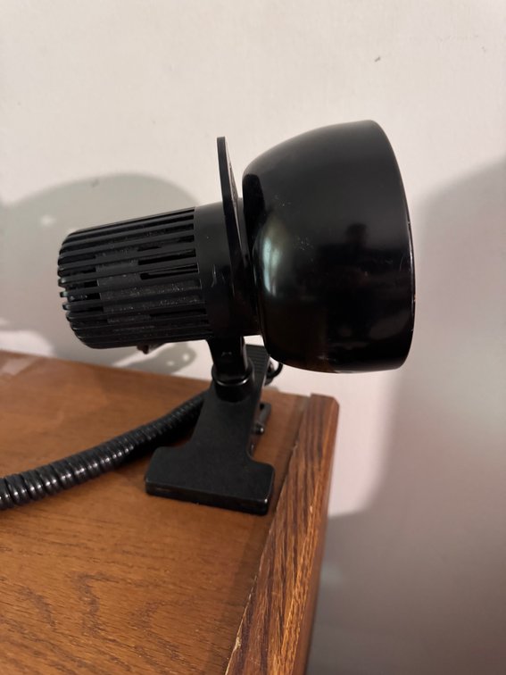 lamp