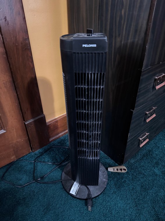 Pelonis fan