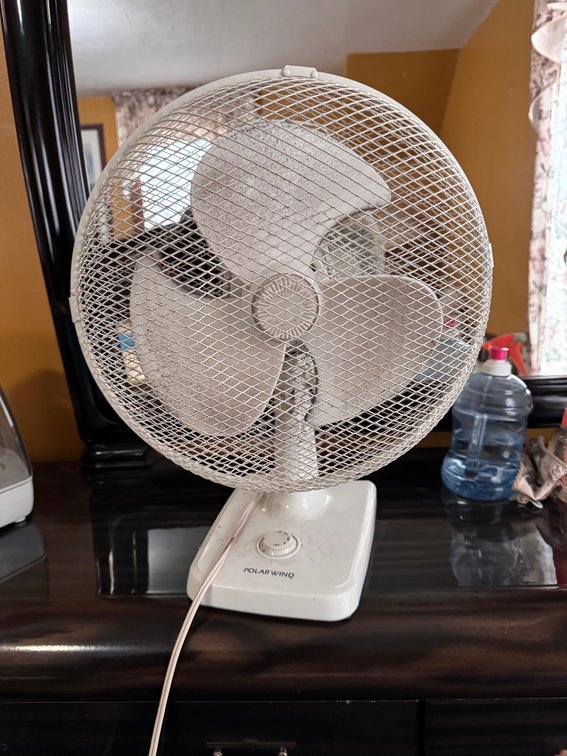 Fan