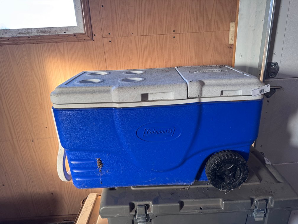 Coleman cooler