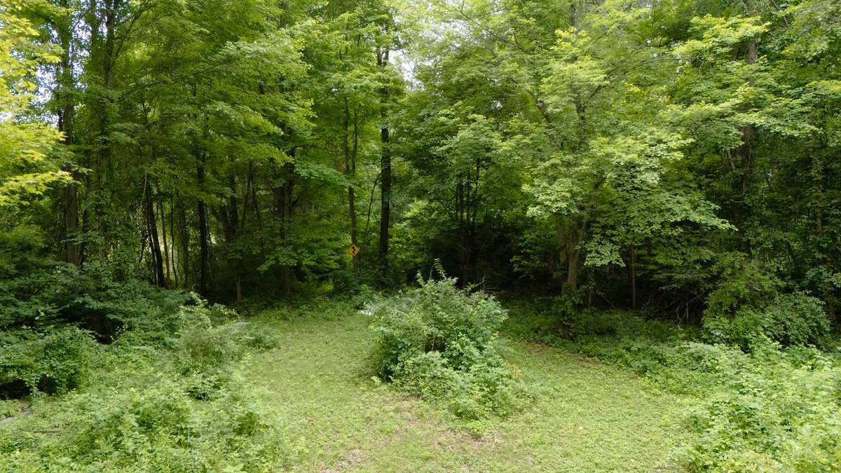 Image for MINIMUM BID AUCTION $299,000! 14231 Sherman White Rd