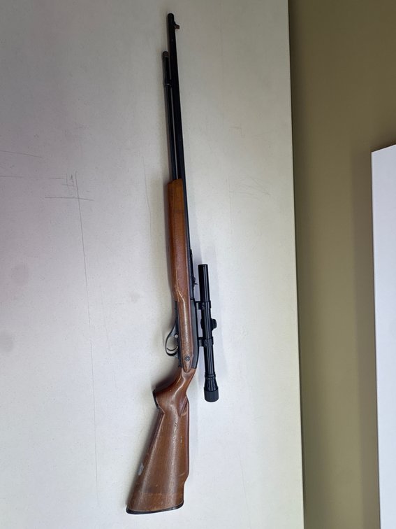 Sears Ted Williams Model 583.3402 .22 Caliber Rifle