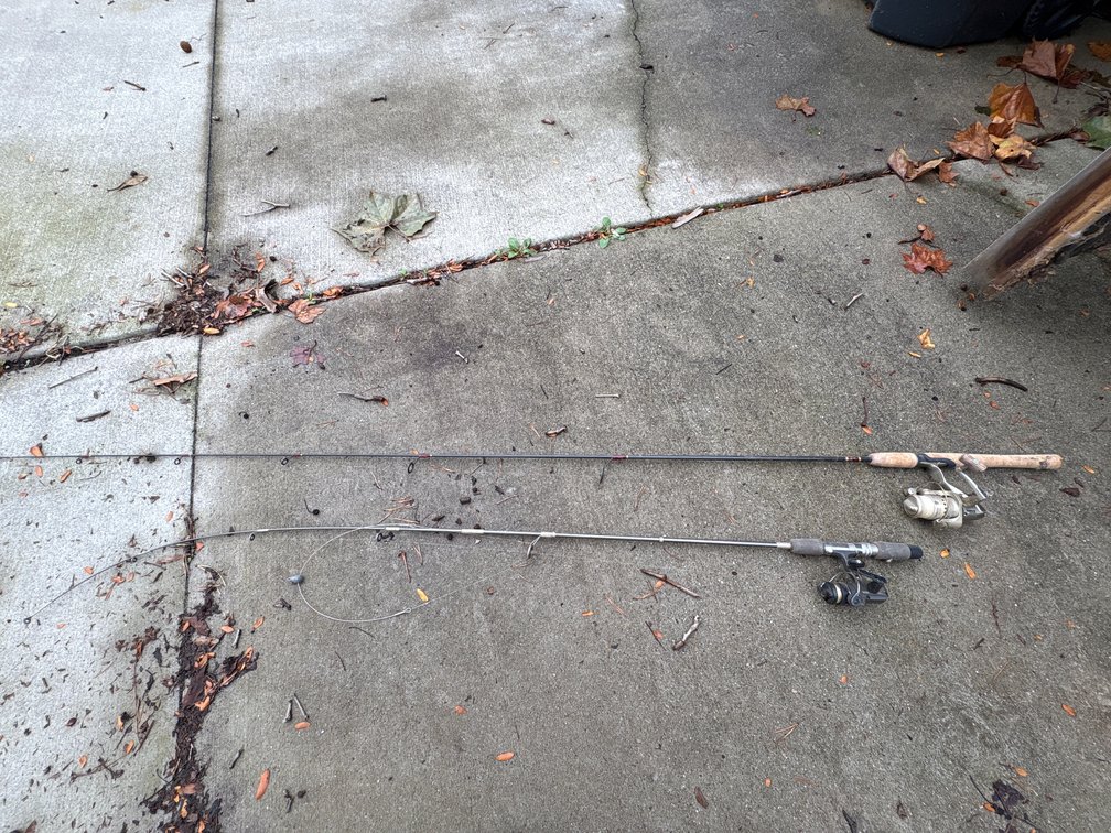 Fishing Rod and Reel Combos and Landing Net