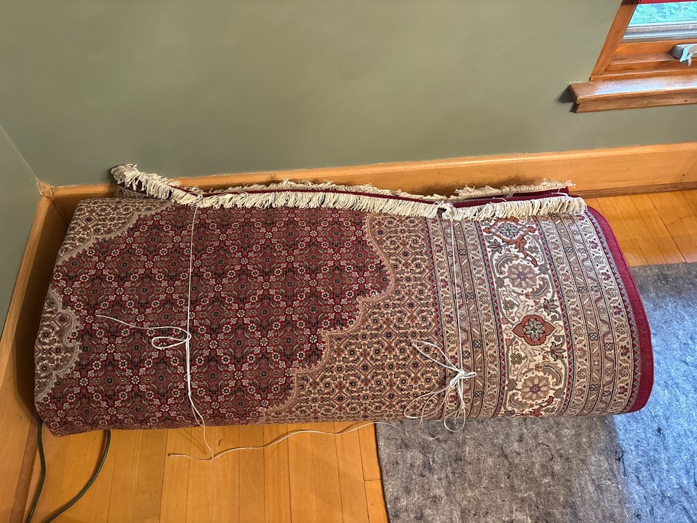 Oriental Style Woven Area Rug with Fringe