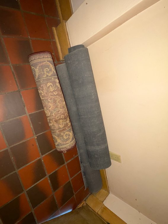 Patterned Accent Rug and Two Carpet Runners