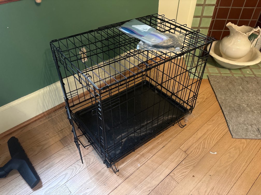 Black Coated Wire Folding Pet Crate with Tray