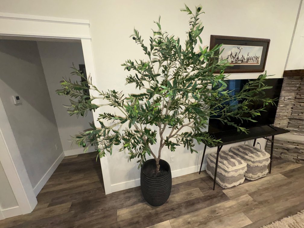Artificial Olive Tree in Textured Ribbed Planter