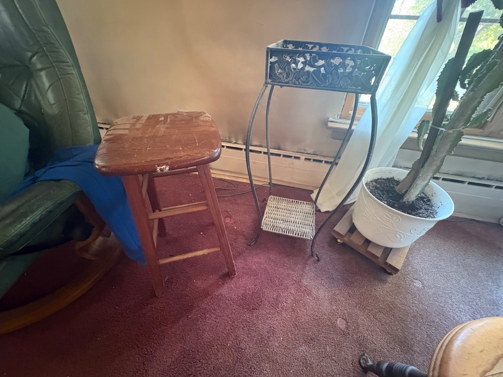 Stools, Plant Stand, and Cactus
