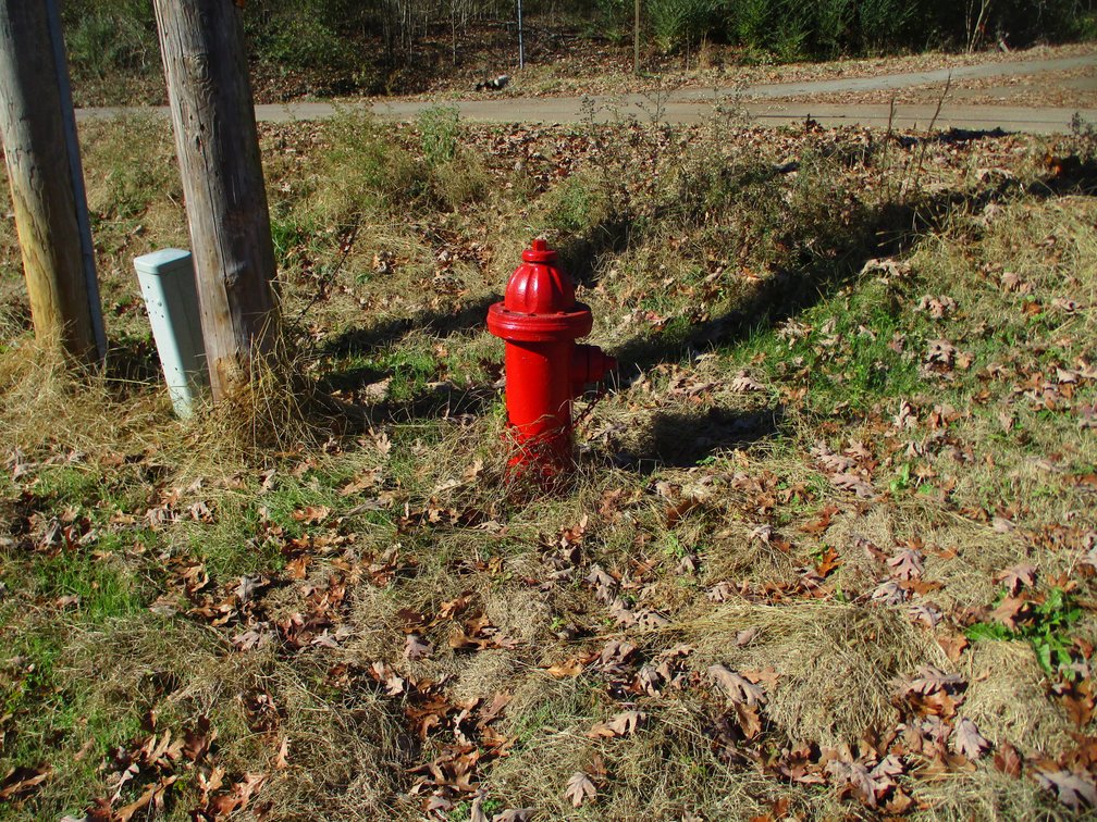 Image for 487 E Mary St, Williford, AR 72482
