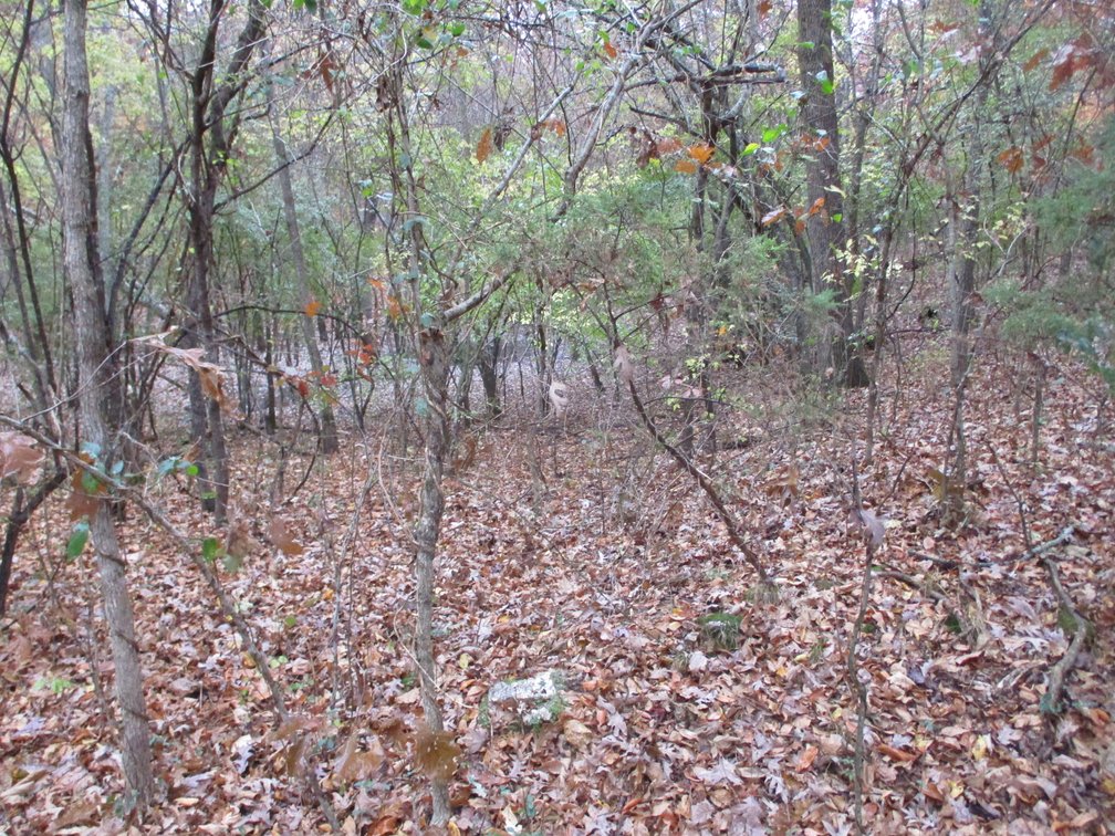 Image for 1729 Hwy 63, Williford, AR