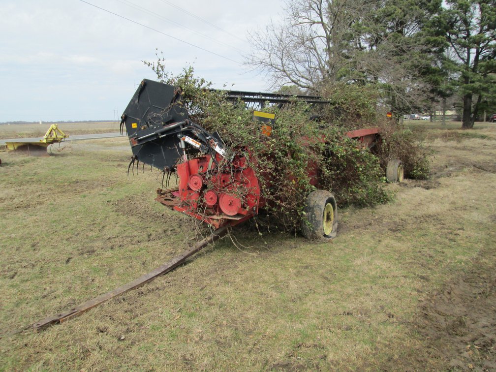 2004 Case IH 1020 25' Platform Header w/ Trailer JJC0334801