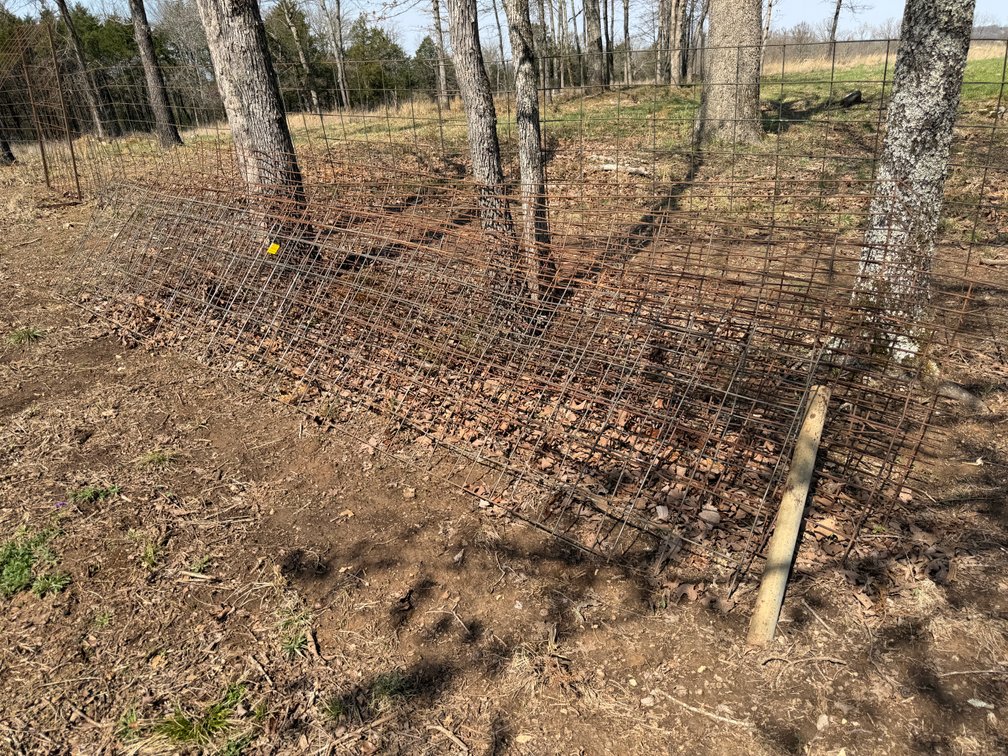 (6) ~17' Hog Panels