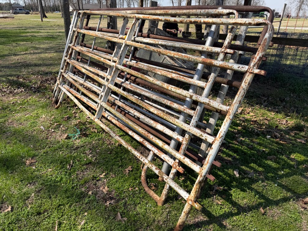 Lot of 10' Cattle Gates