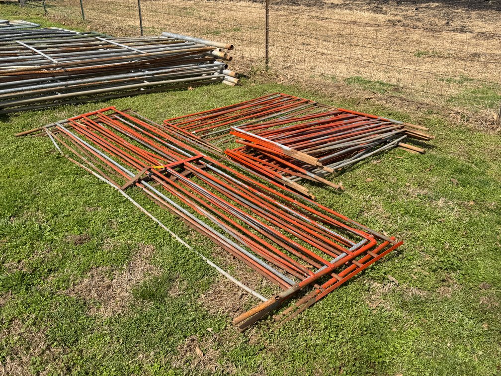 Lot of 36" Tall Corral Panels