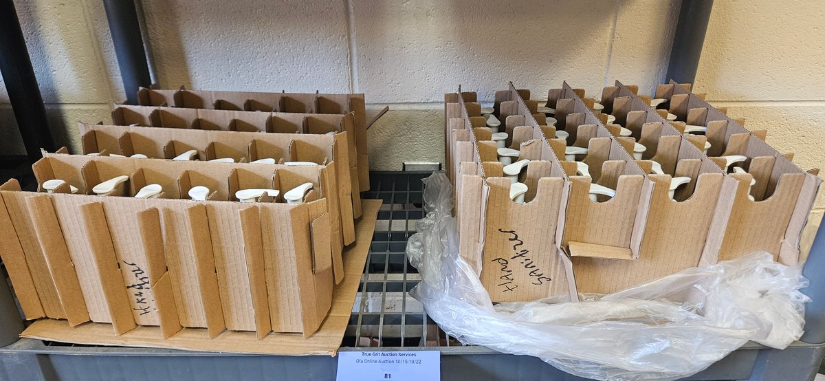 Hand Sanitizer Pump Bottles in Divider Cartons