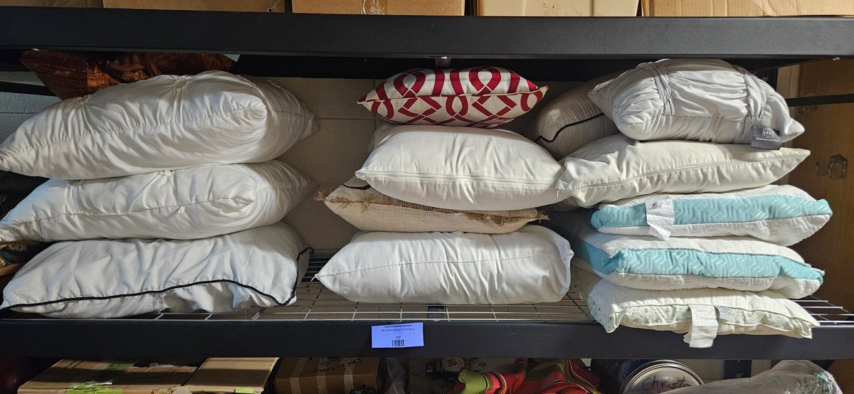 Bed Pillows and Decorative Throw Pillows