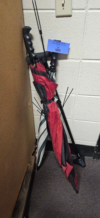 Walking Cane, Umbrellas, and Metal Rod Assembly