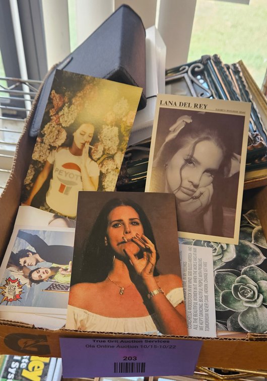 Lana Del Rey Art Prints and Postcards