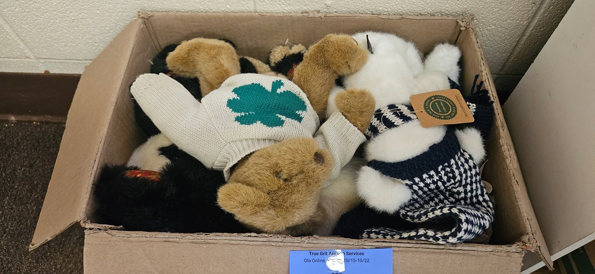 Plush Teddy Bears and Stuffed Animals