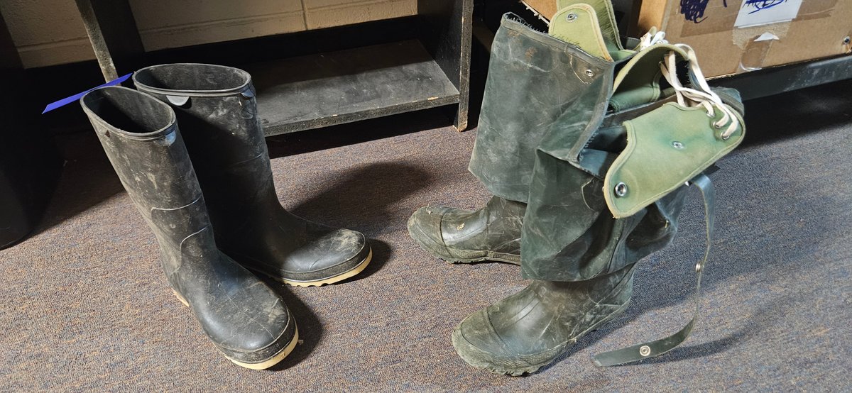 Two Pairs of Rubber Boots