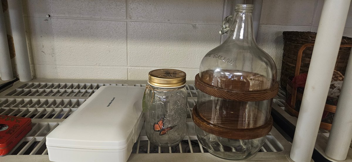 Electric Carving Knife, One-Gallon Glass Jug, and Butterfly Jar