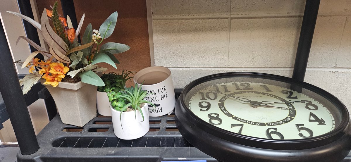 Wall Clock, Planters, Faux Floral Arrangement, and Rug