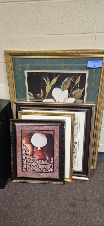 Framed Botanical and Decorative Art Prints