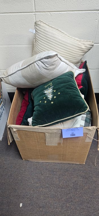Christmas and Decorative Accent Throw Pillows