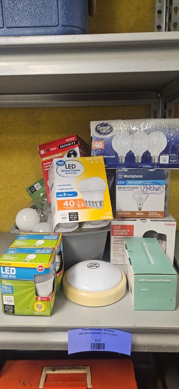 Lighting Fixtures, Light Bulbs, and WiFi Panorama Camera