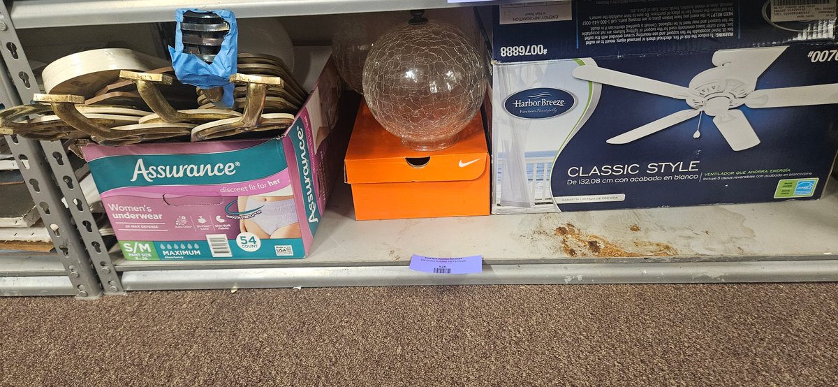 Ceiling Fan in Box, Fan Blades, and Glass Shades