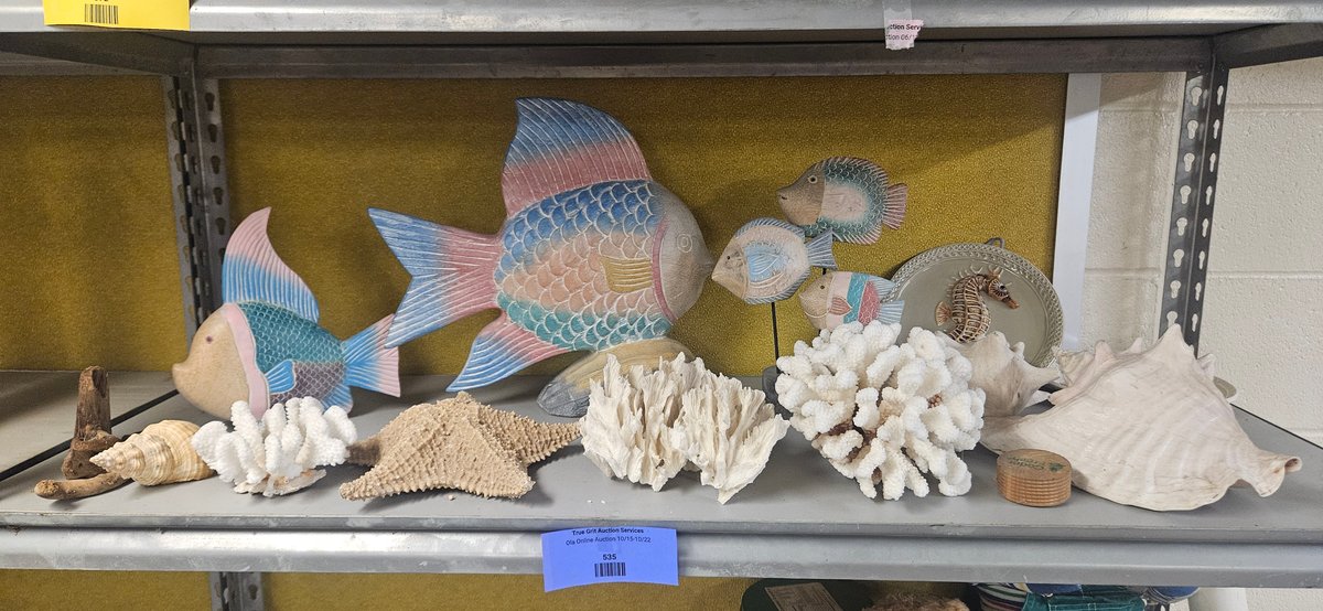 Fish Figurines, Coral Specimens, Seashells, and Coastal Decor
