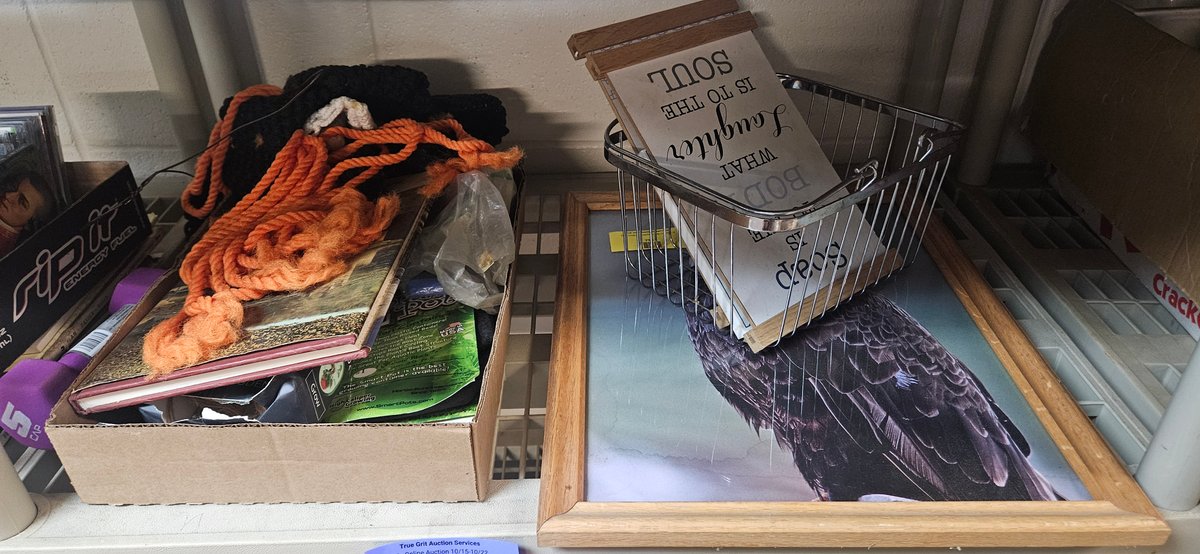 Framed Bald Eagle Print, Music CDs, Wire Basket, and More