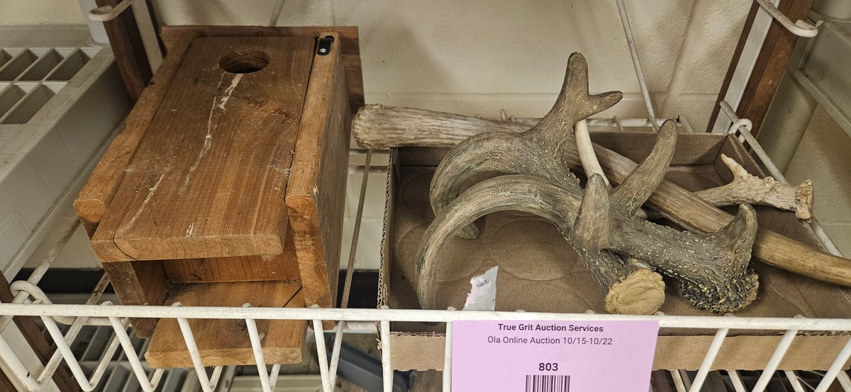 Unfinished Wood Birdhouse and Antler Pieces