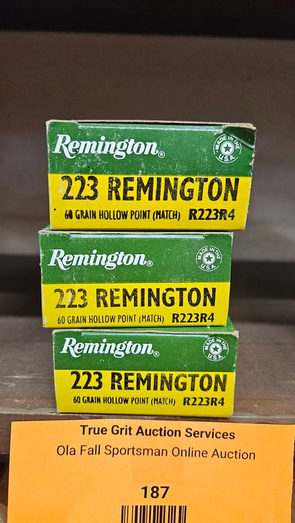 Remington .223 Remington 60 Grain Hollow Point Ammunition