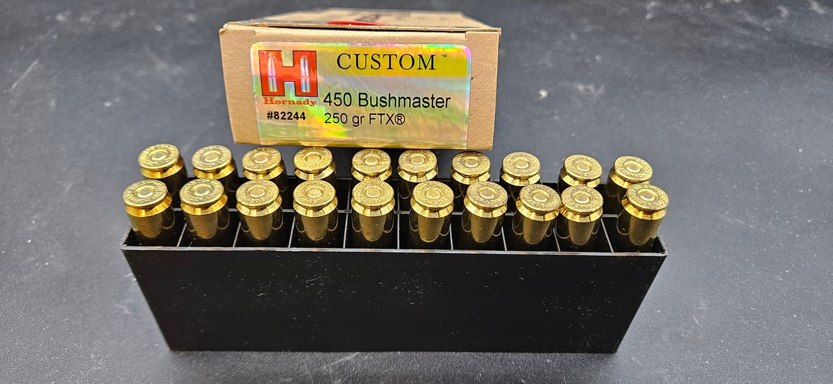 Hornady Custom .450 Bushmaster 250 gr FTX Ammunition